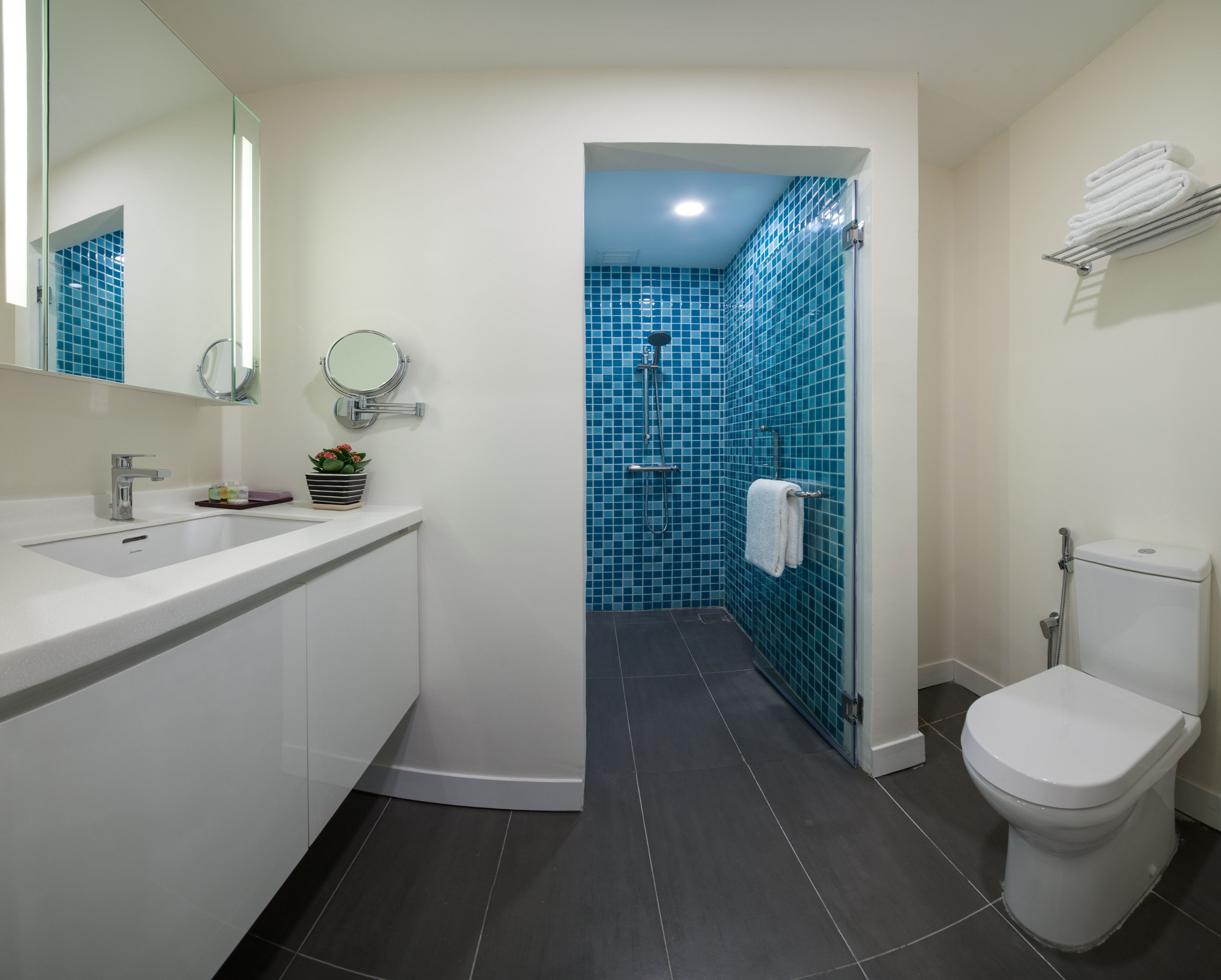 Une salle de bain moderne avec un lavabo, un miroir et des toilettes, le tout de couleur blanche. L’espace douche est agrémenté de carreaux bleus.