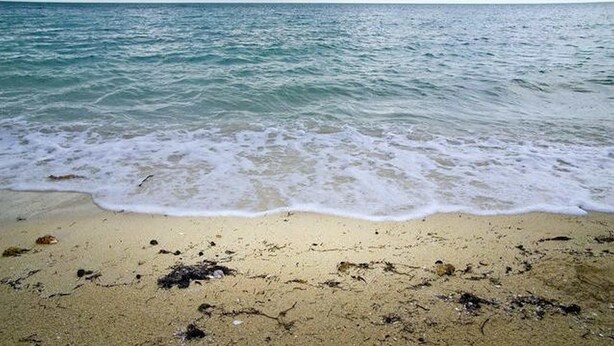 A beach with waves approaching the shore. - Taste of Paradise (Nassau)