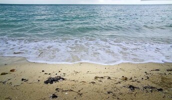 在附近的私人海滩、沙滩毛巾、钓鱼