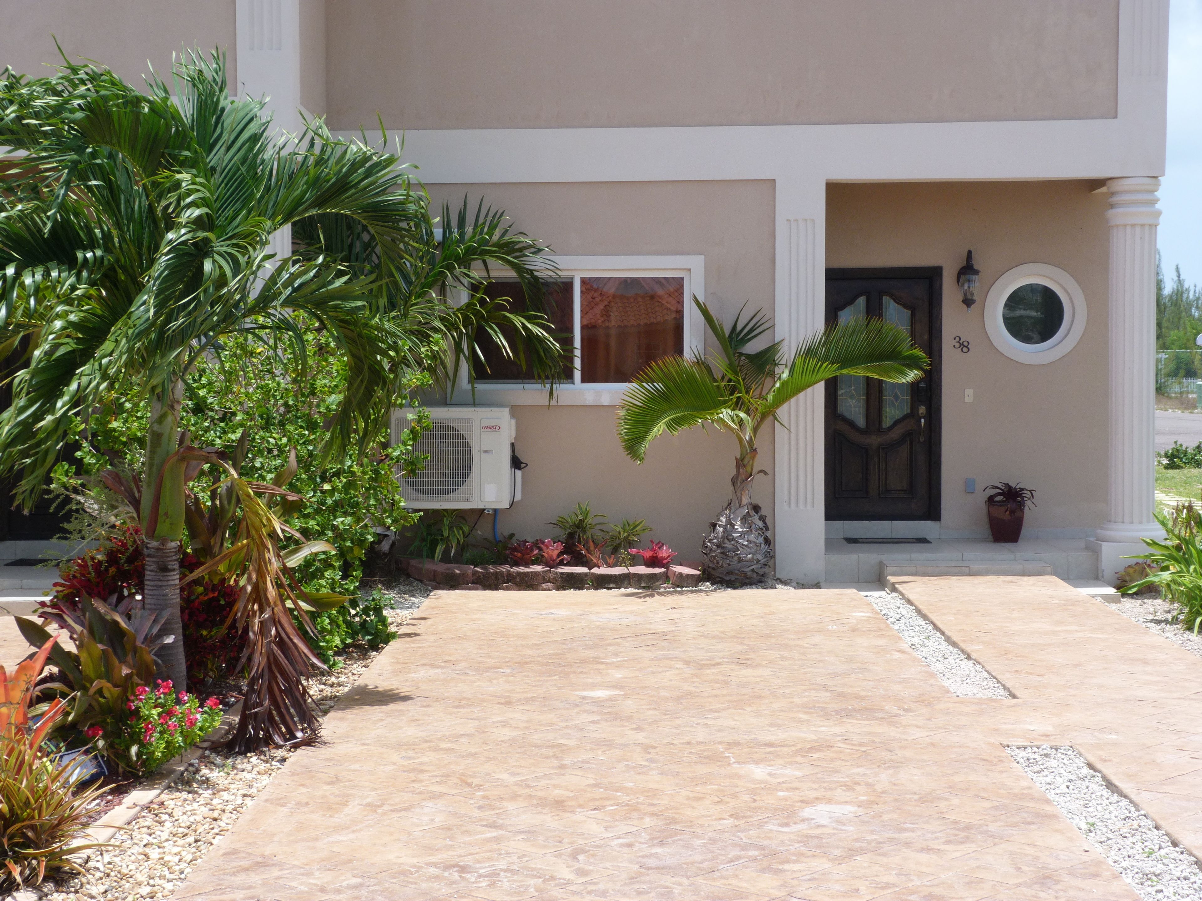 A house with a paved driveway, palm trees, and a variety of plants.