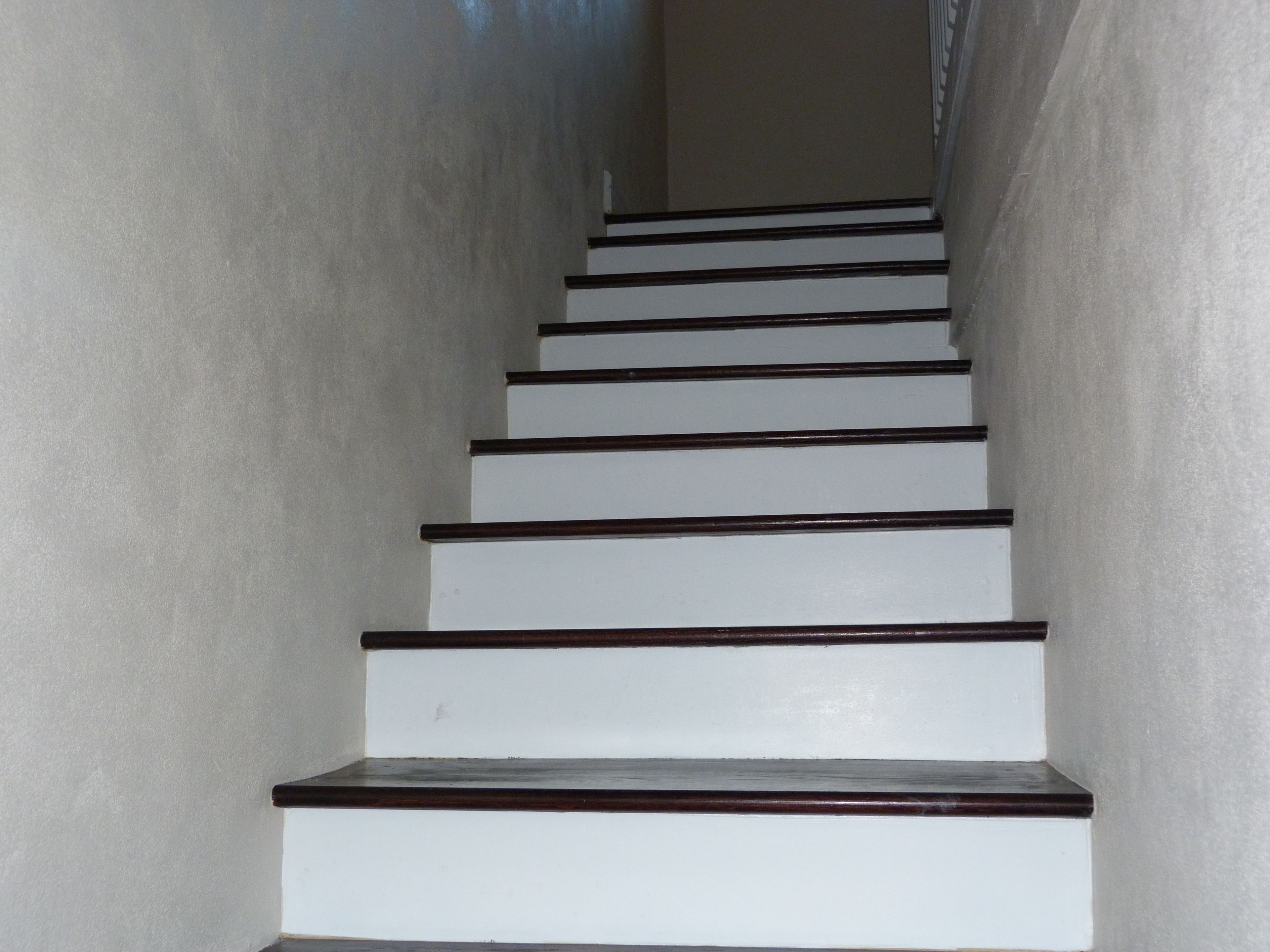 A staircase with white steps and dark risers, leading upwards.