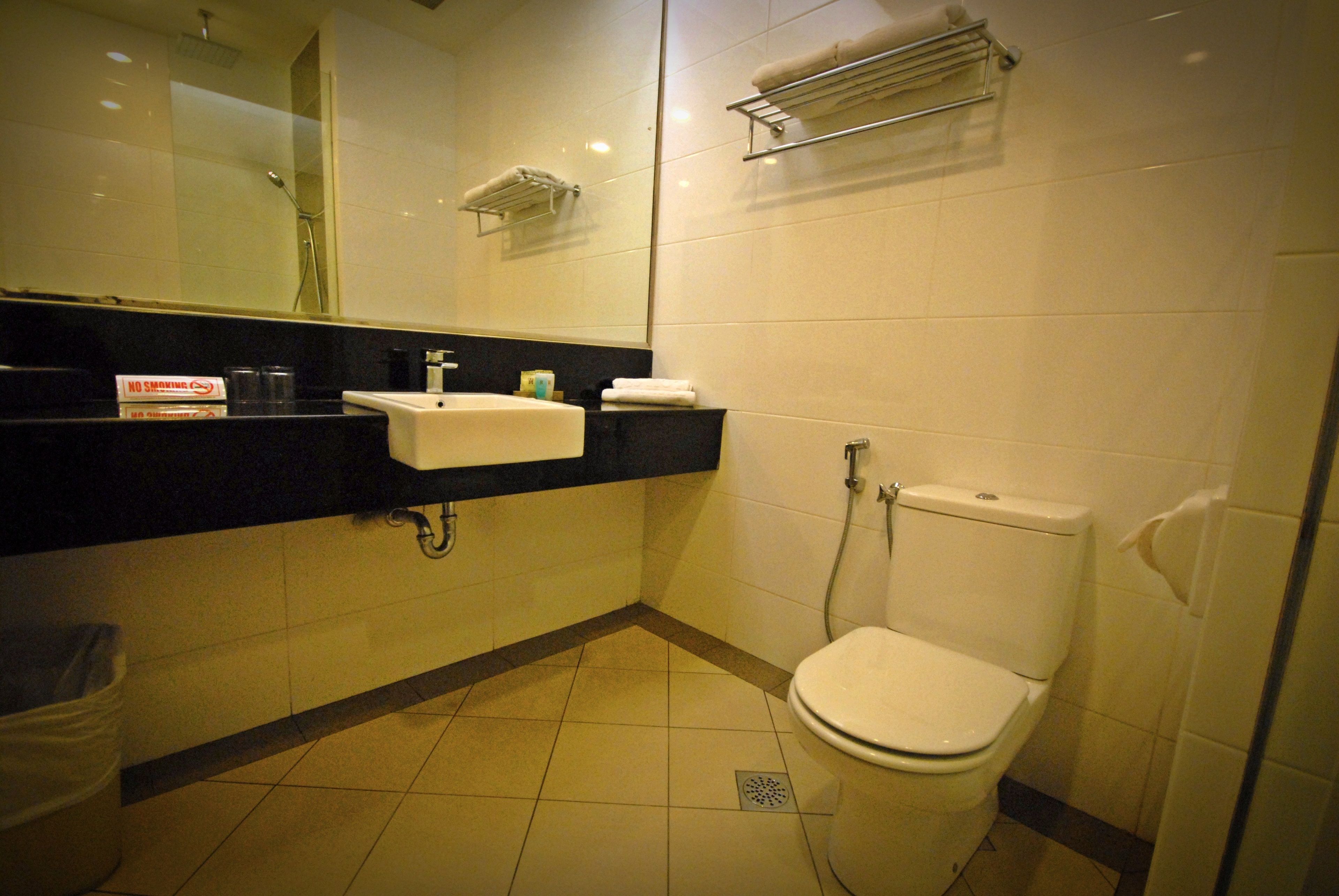Un baño de hotel estándar con lavabo, espejo, inodoro y ducha.