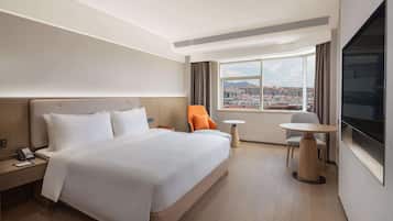 Minibar, in-room safe, alarm clocks