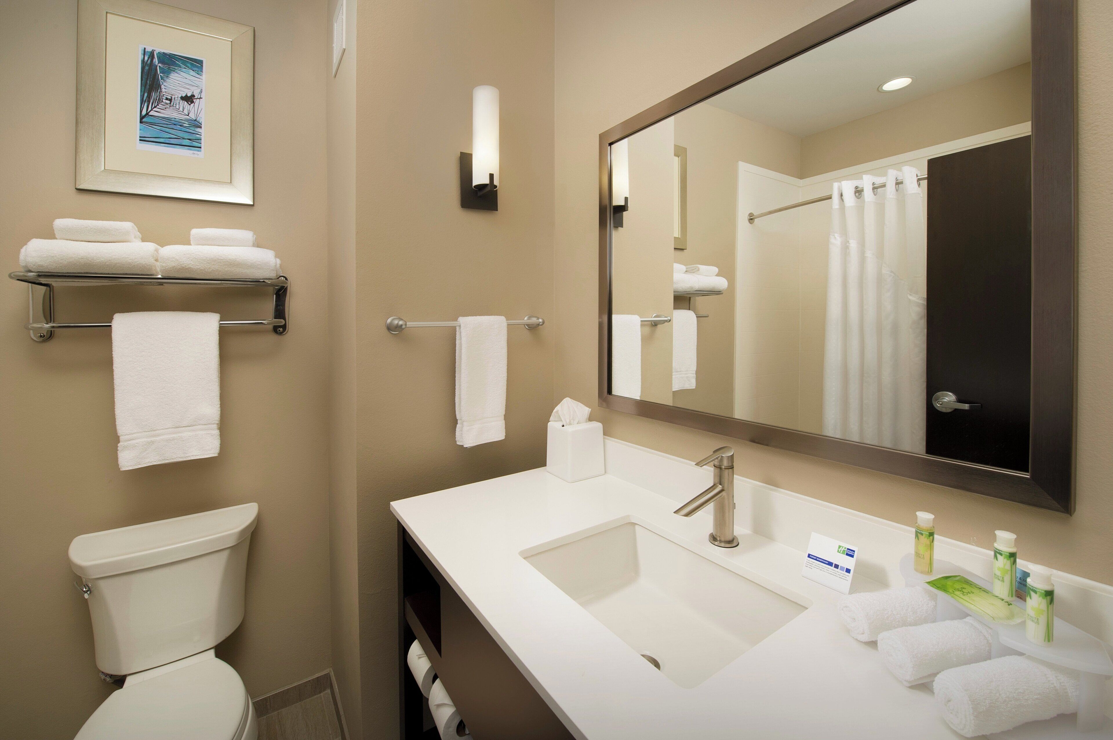 A bathroom with a white sink, a mirror, a towel rack, and a framed picture on the wall.
