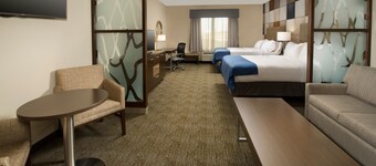 Holiday Inn Express & Suites Waco South by IHG