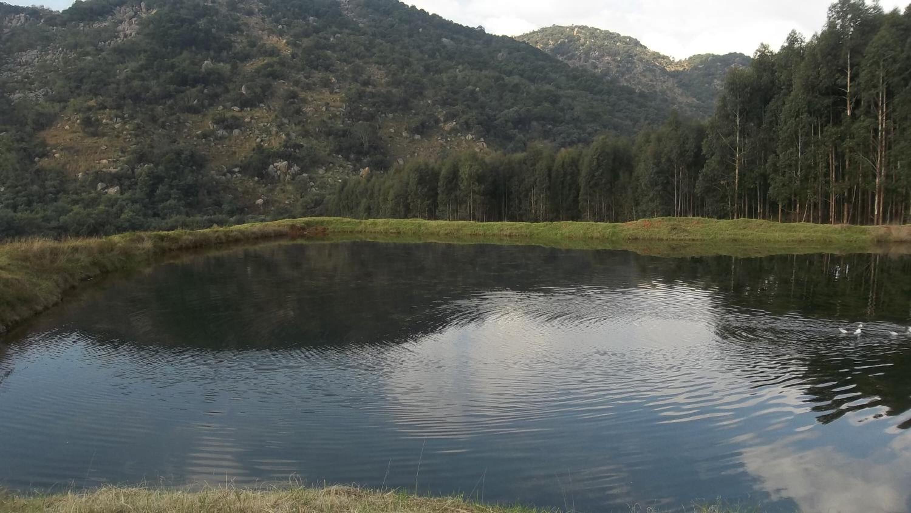 A calm lake surrounded by forested hills.