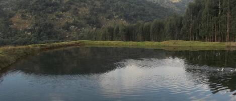 A calm lake surrounded by forested hills.