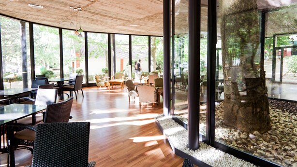 A spacious indoor area with large windows, wooden flooring, and modern furniture. - Balneario Serón (Jaraba)