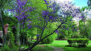Jardí