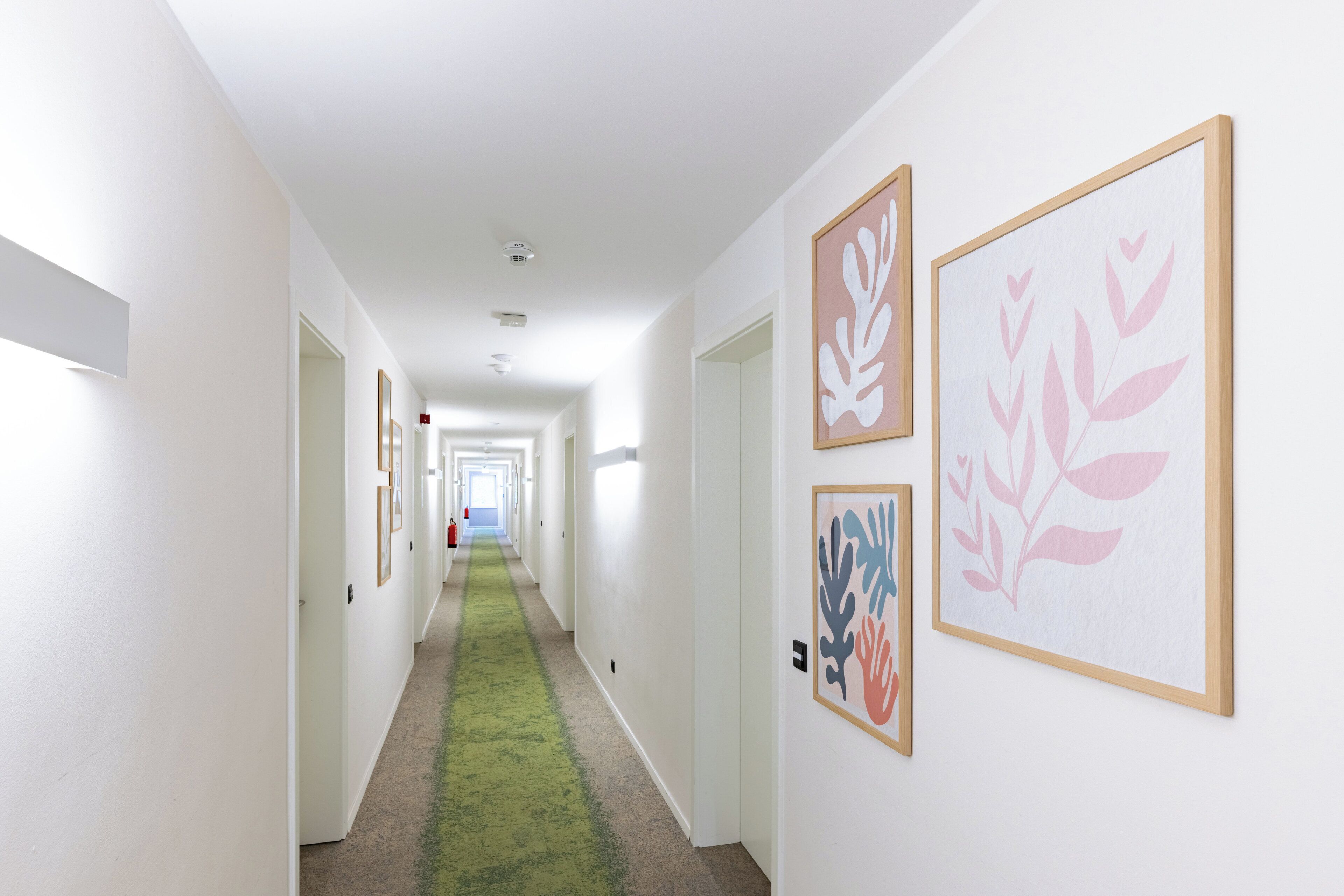 A hallway with framed artwork on the walls, carpeted flooring, and white walls.