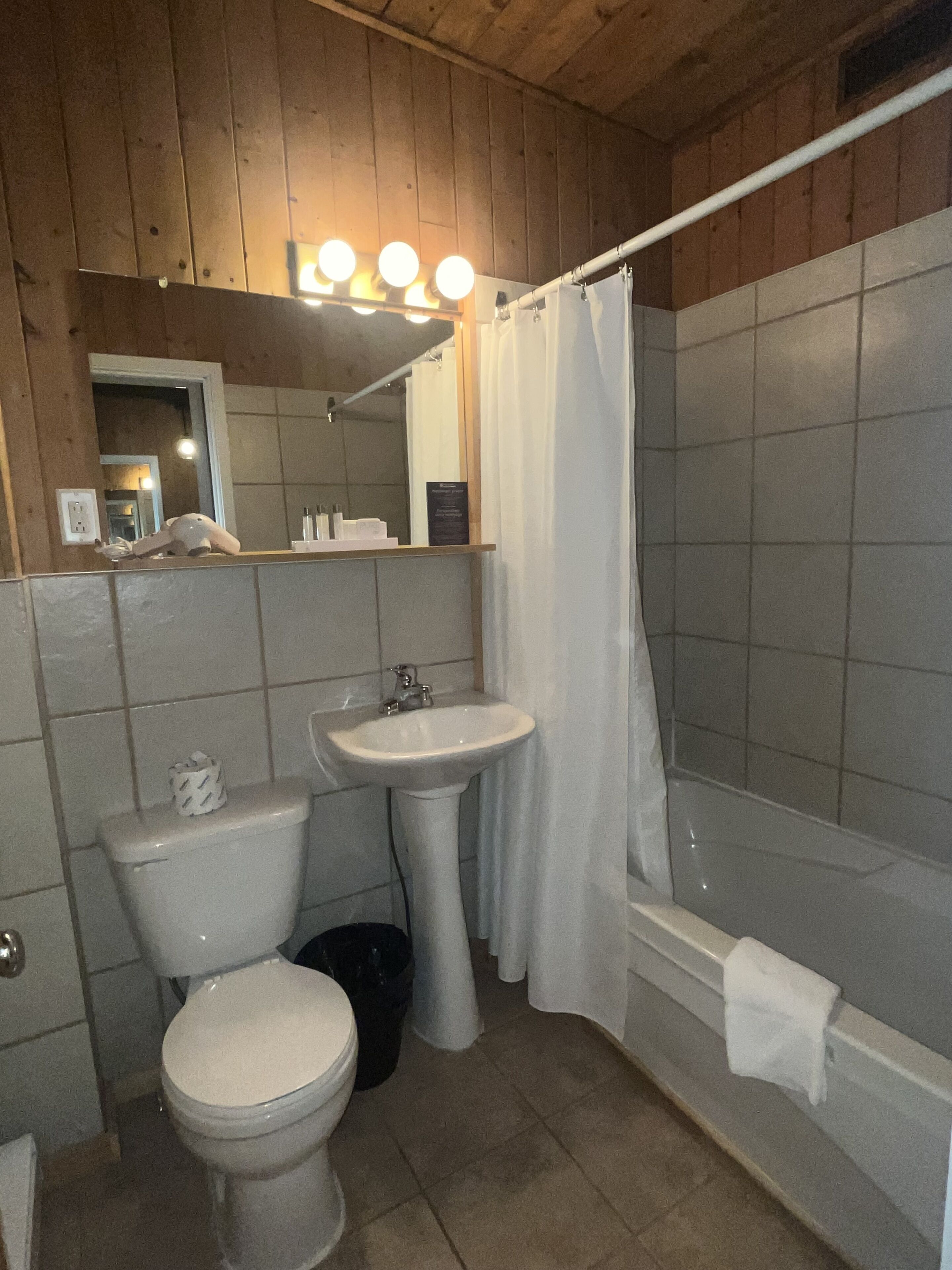 combined shower/bathtub, free toiletries, hair dryer, towels
