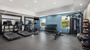 A gym with treadmills, elliptical machines, a weight bench, dumbbells, and a cable machine.