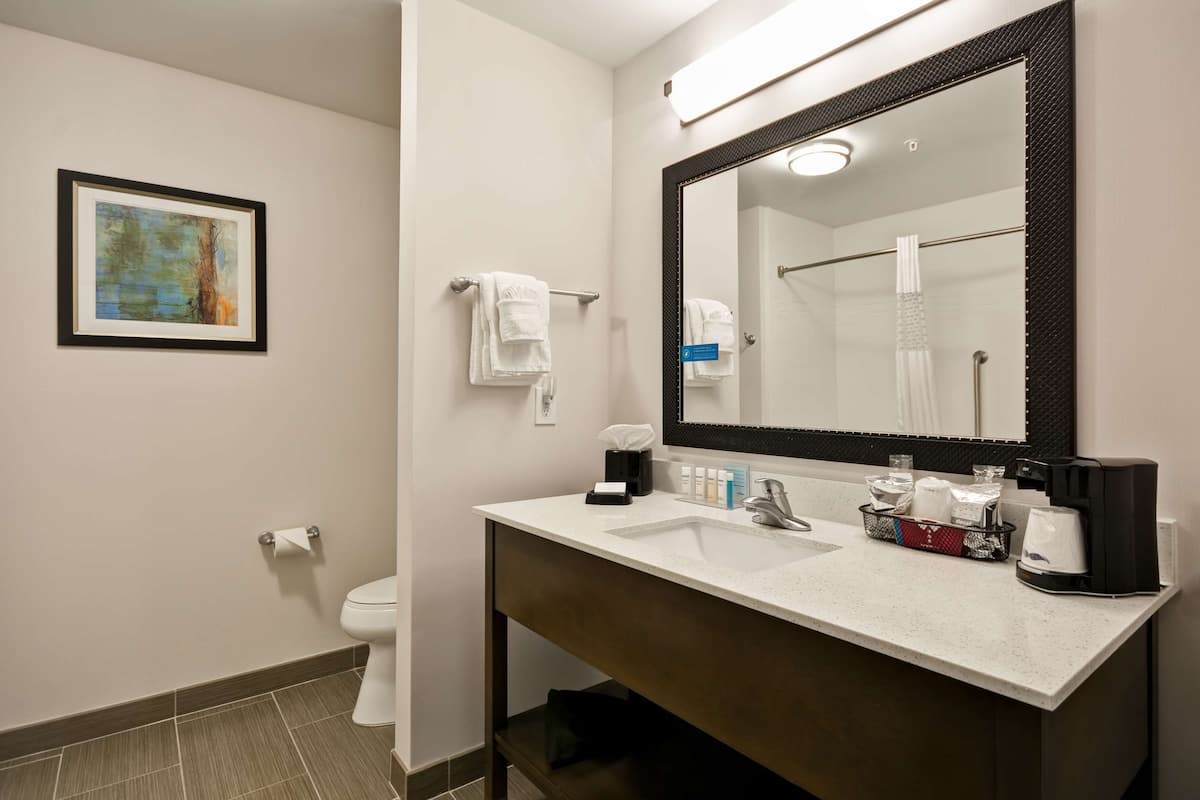 Towels, soap, shampoo, toilet paper