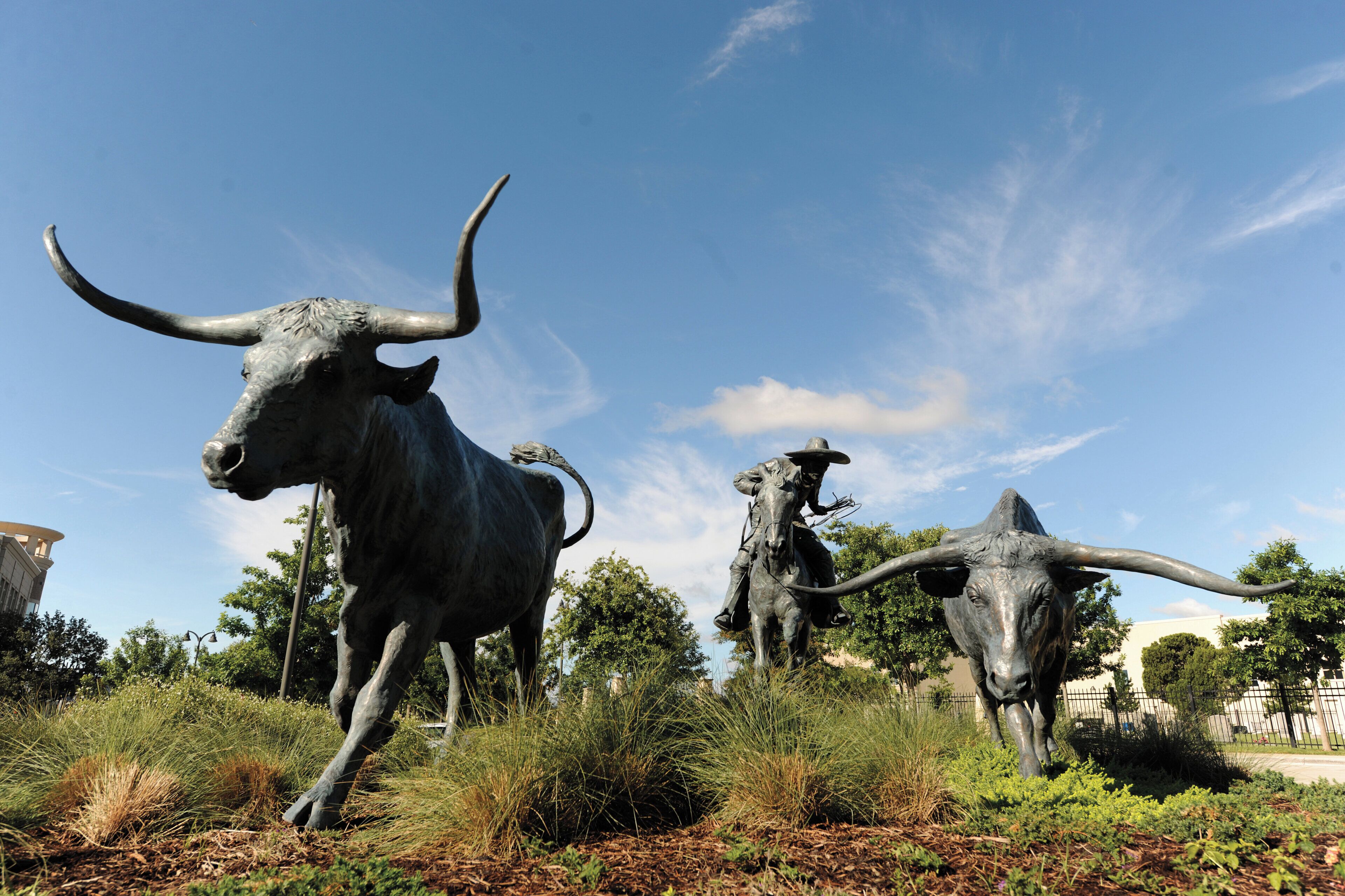 A sculpture of a bull and a cowboy in a grassy area with trees and a clear sky.