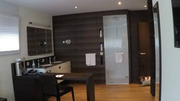 A modern hotel room with a bed, a desk, a chair, a mirror, a shower area, and a cat on the floor.