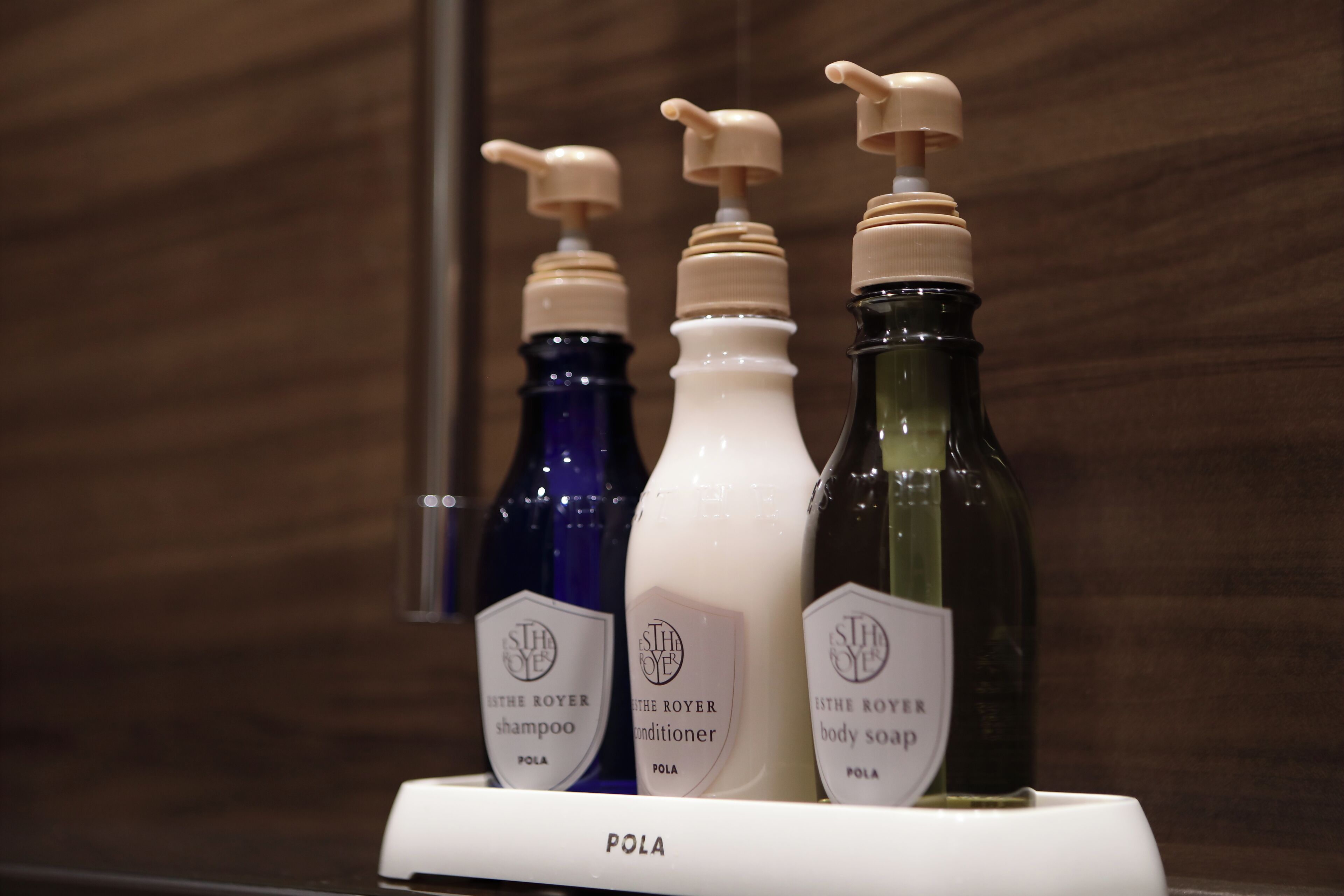 Foto - Hakone Pax Yoshino