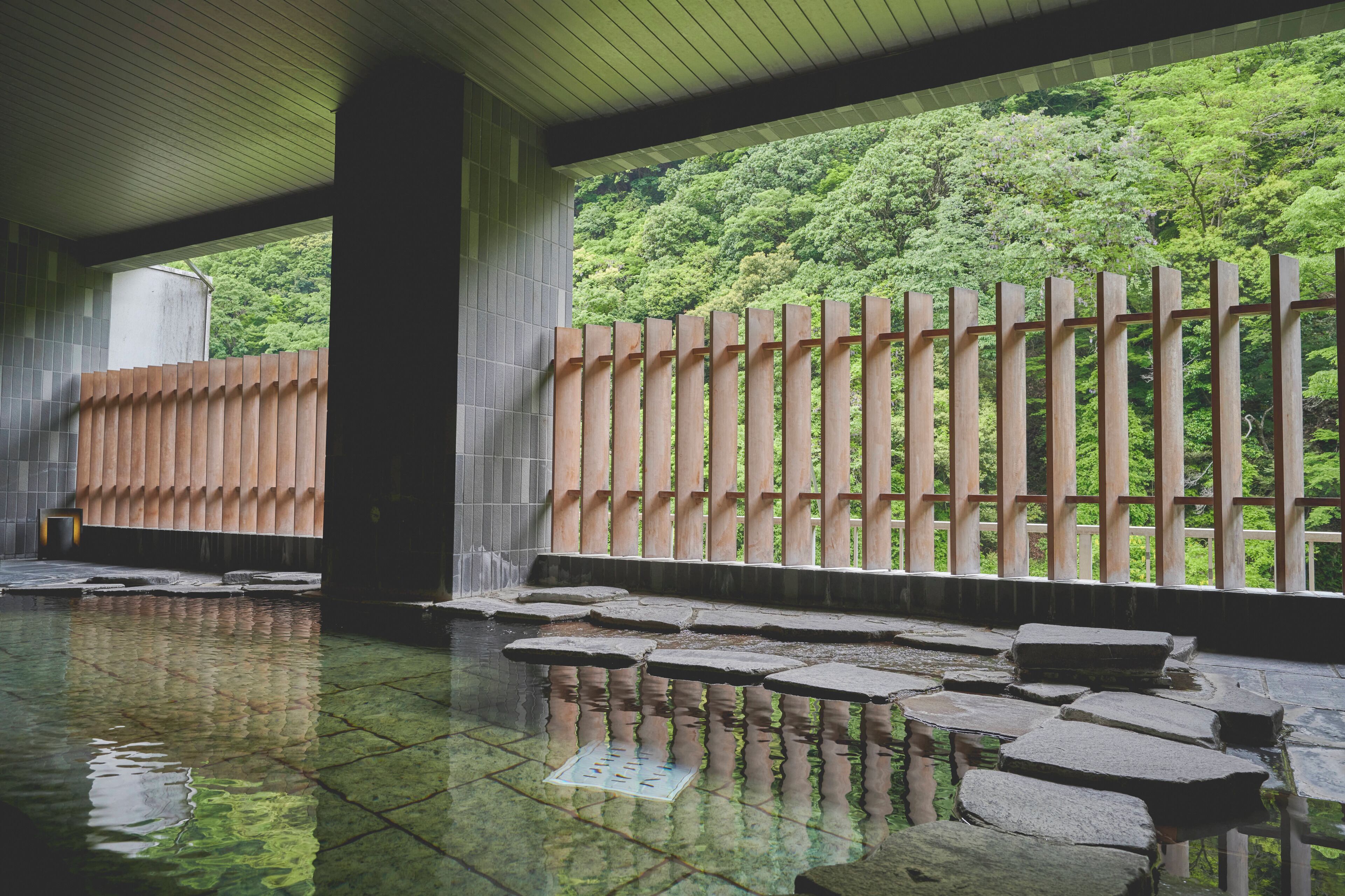 Foto - Hakone Pax Yoshino