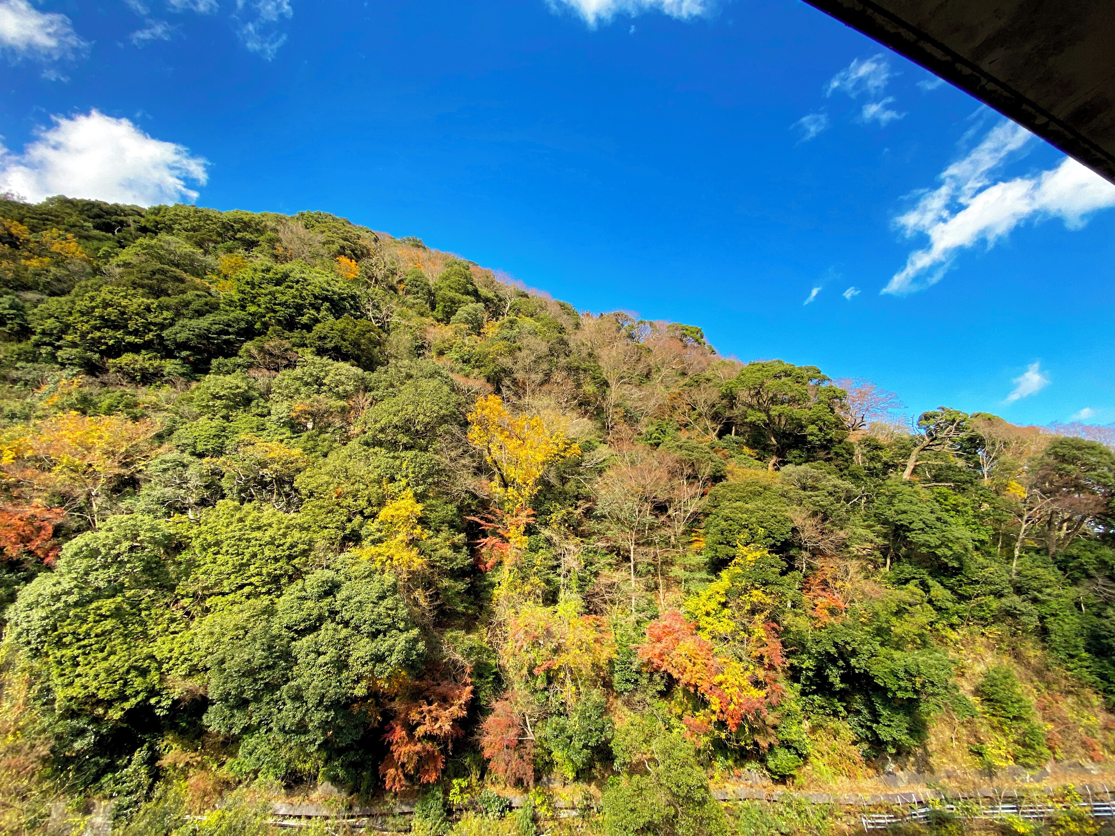 Un paisaje montañoso con vegetación densa y cielo azul despejado.