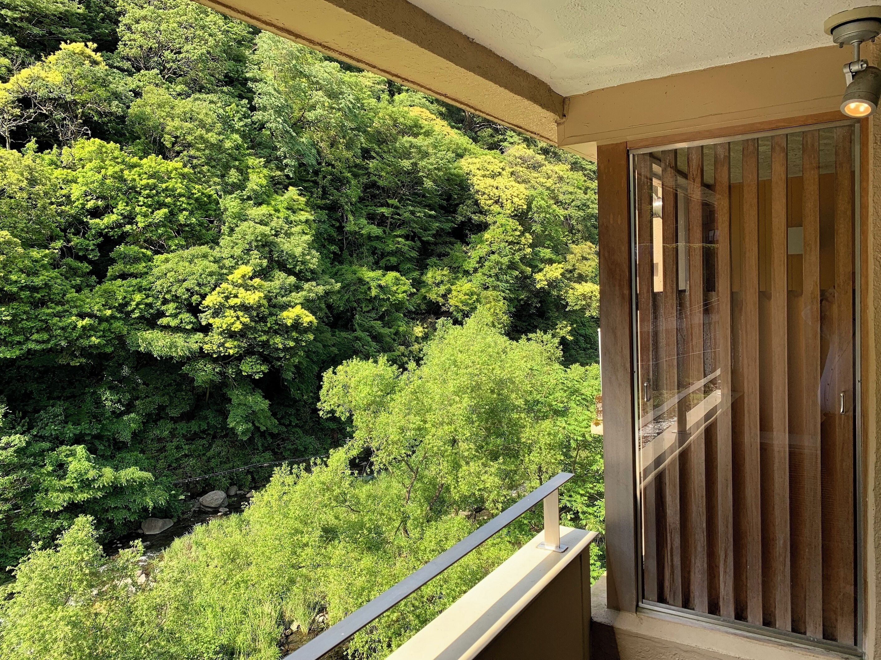 Foto - Hakone Pax Yoshino