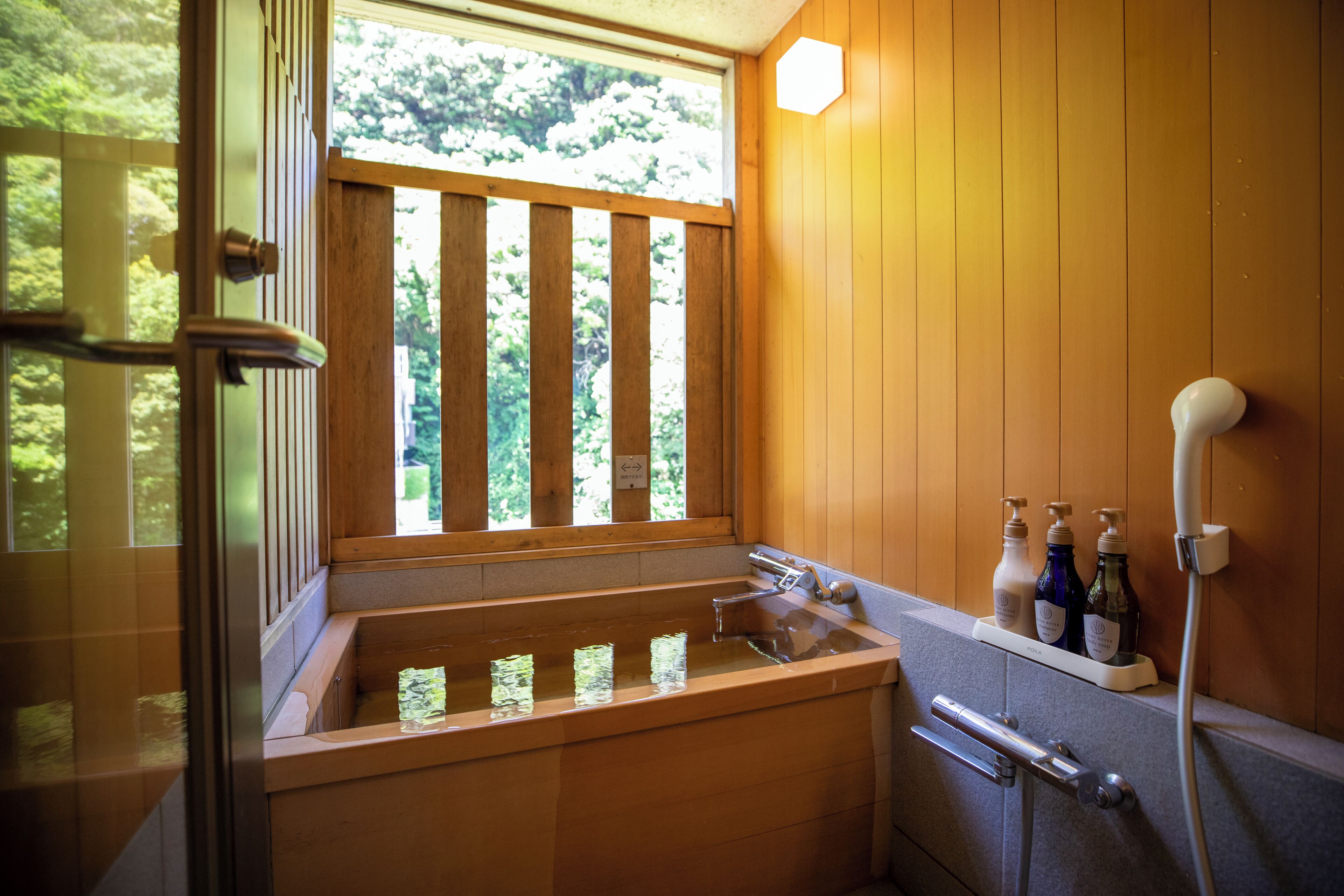 Foto - Hakone Pax Yoshino