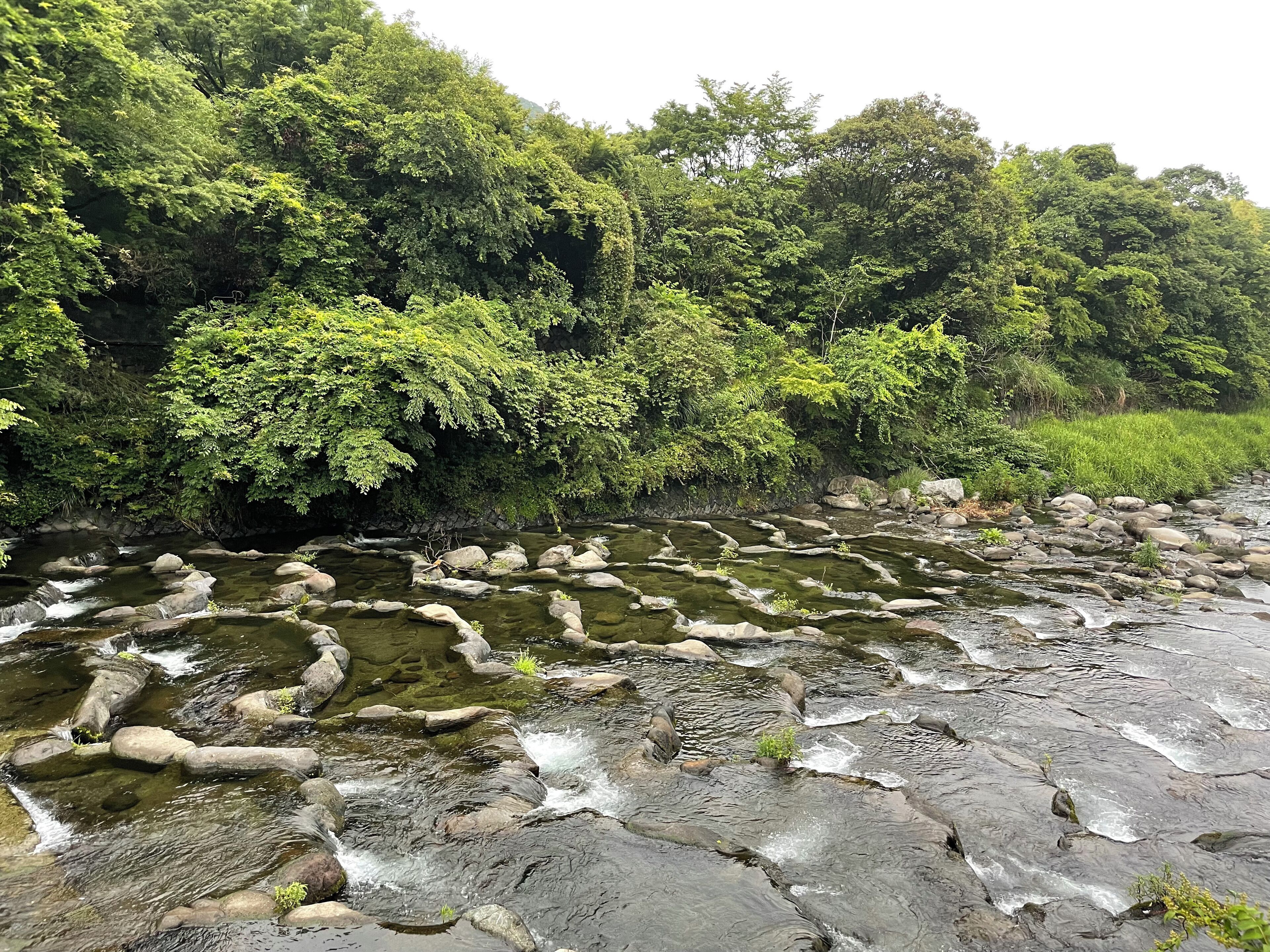 Foto - Hakone Pax Yoshino