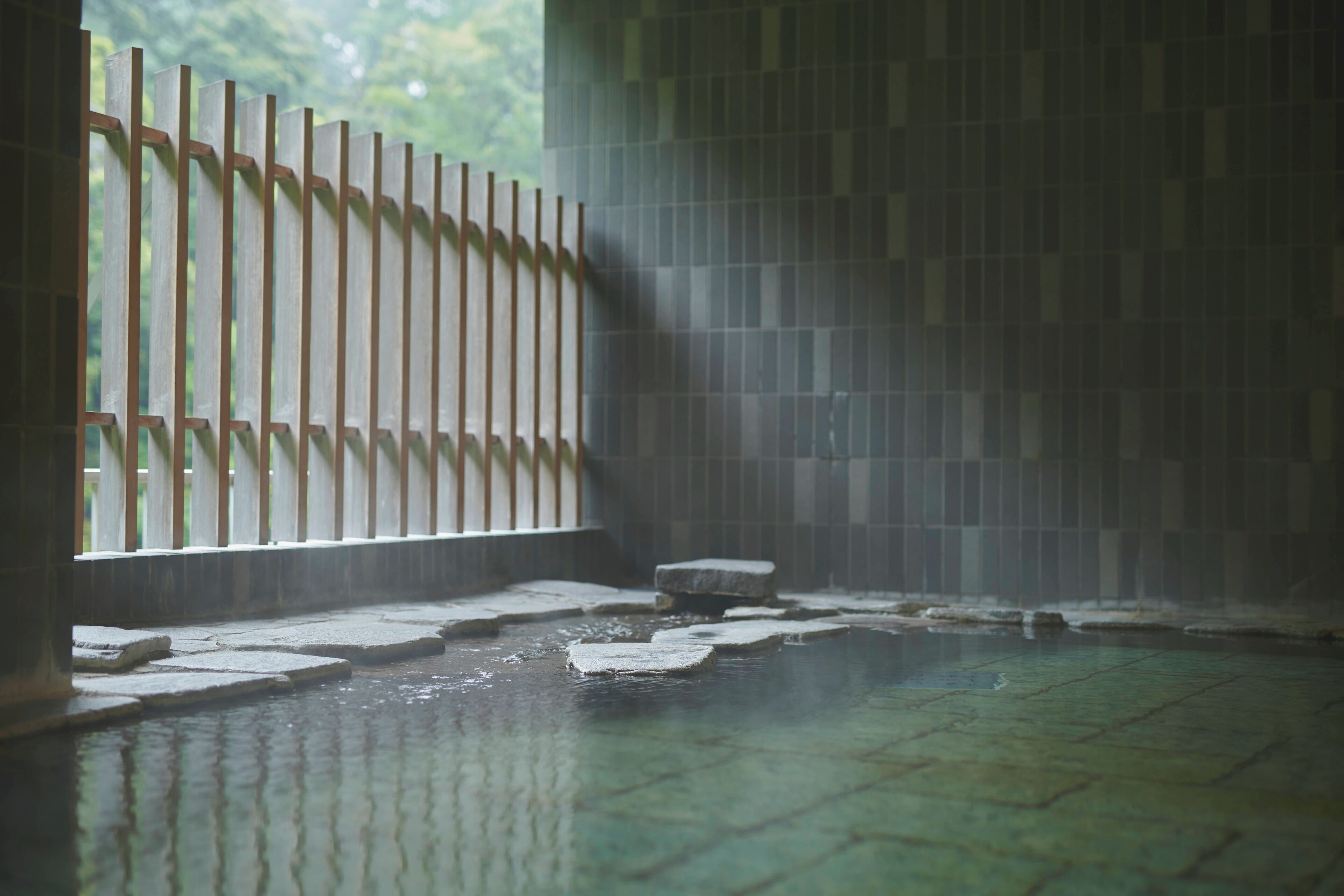 A traditional Japanese onsen with stone steps leading into a hot spring, a wooden fence, and a tiled wall.
