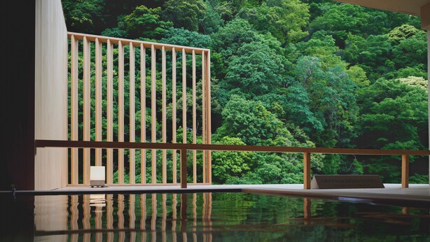 A modern indoor pool with a wooden railing and a view of dense green foliage. - Hakone Pax Yoshino (Hakone)