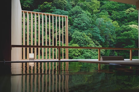 Aguas termales. Hakone Pax Yoshino