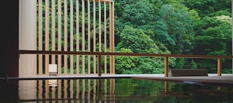 하코네 팍스 요시노