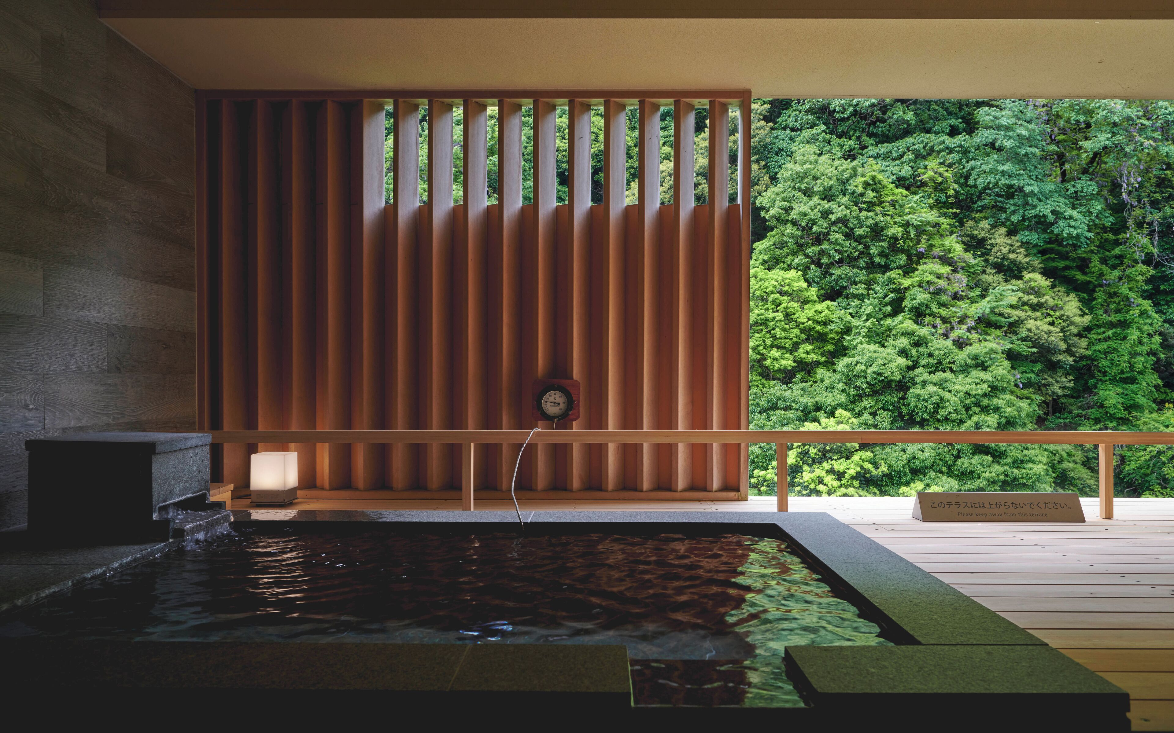 Foto - Hakone Pax Yoshino