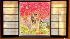 A traditional Japanese room with tatami flooring, a shoji screen, and a view of a cherry blossom tree. - Ryokan Sensyoen (Asahikawa)