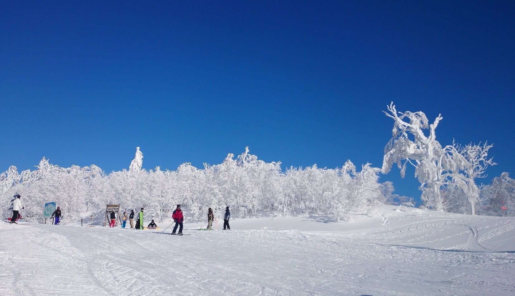 En sneklædt skibakke med skiløbere og en klar blå himmel.