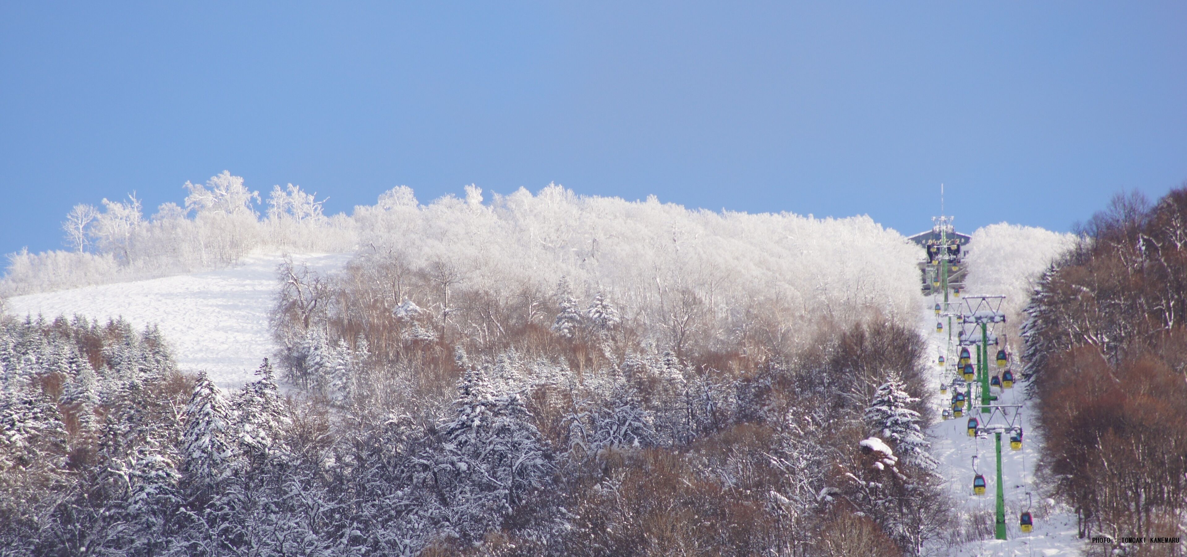 A snowy mountain landscape with a ski lift and trees.