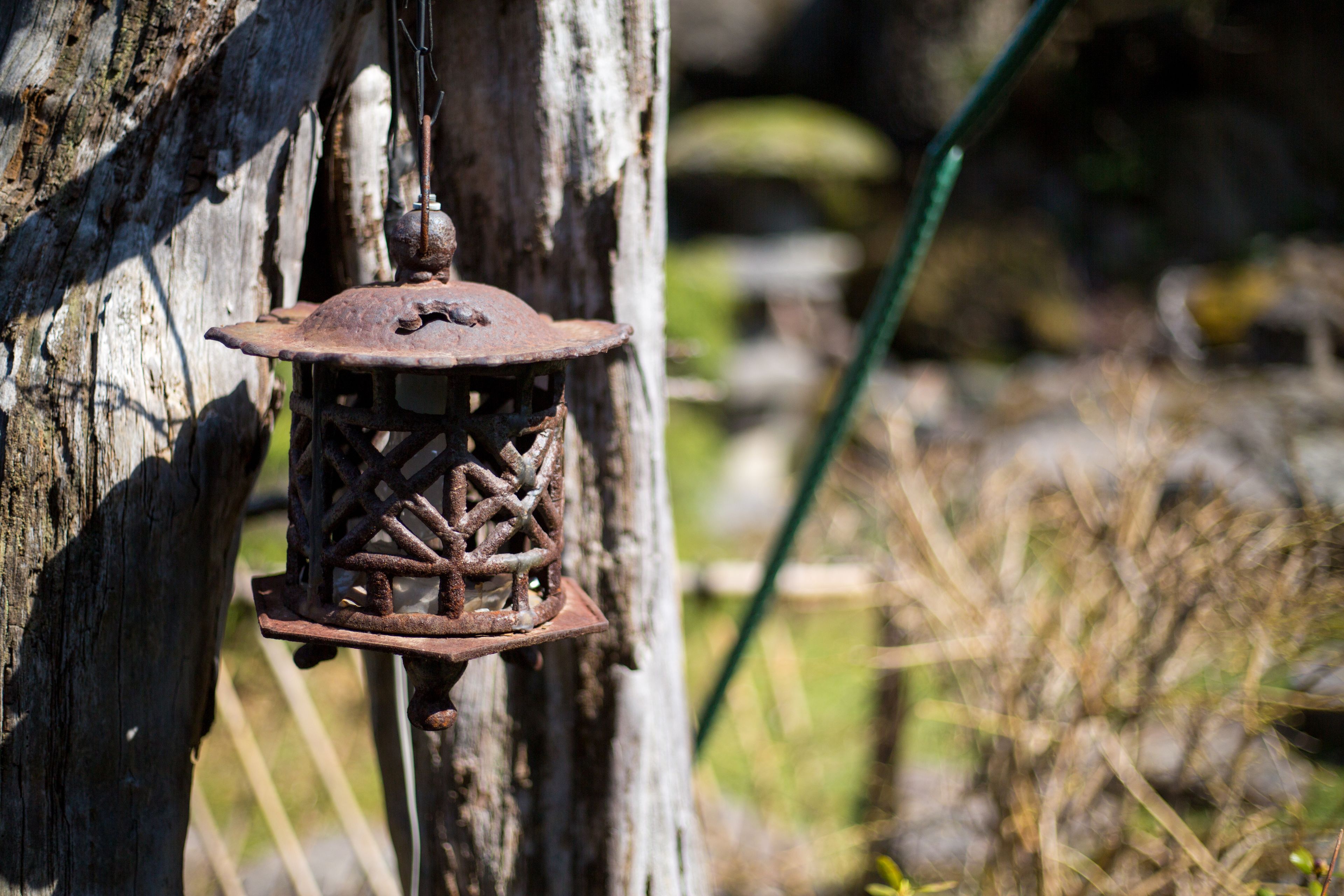 Un farol rústico de metal colgado de un árbol.