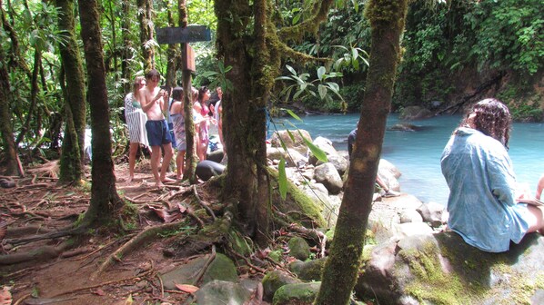 A group of people in a forested area with a river.