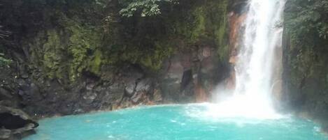 Una cascada que se precipita en una piscina turquesa, rodeada de terreno rocoso y vegetación densa.