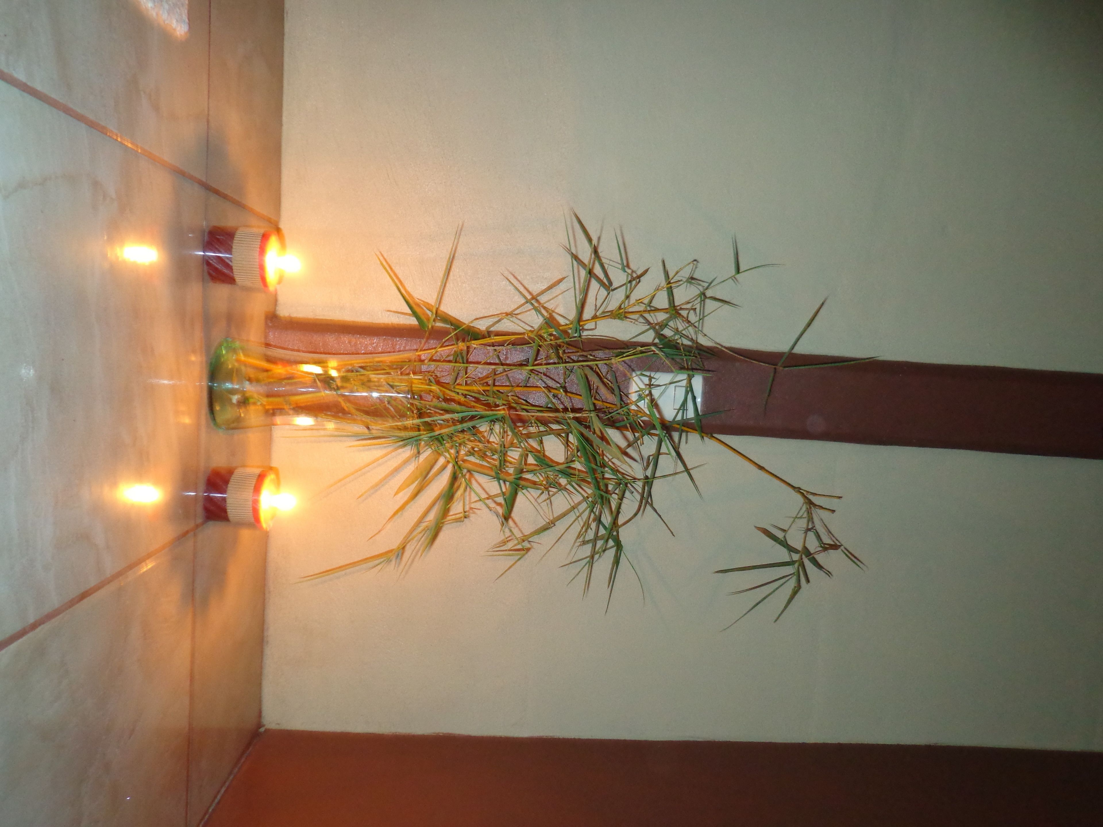 A corner of a room with a bamboo plant in a vase, a brown wall, and a tiled floor.
