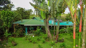 Un jardí exuberant amb diverses plantes i flors, un edifici amb teulada verda i un cel serè.