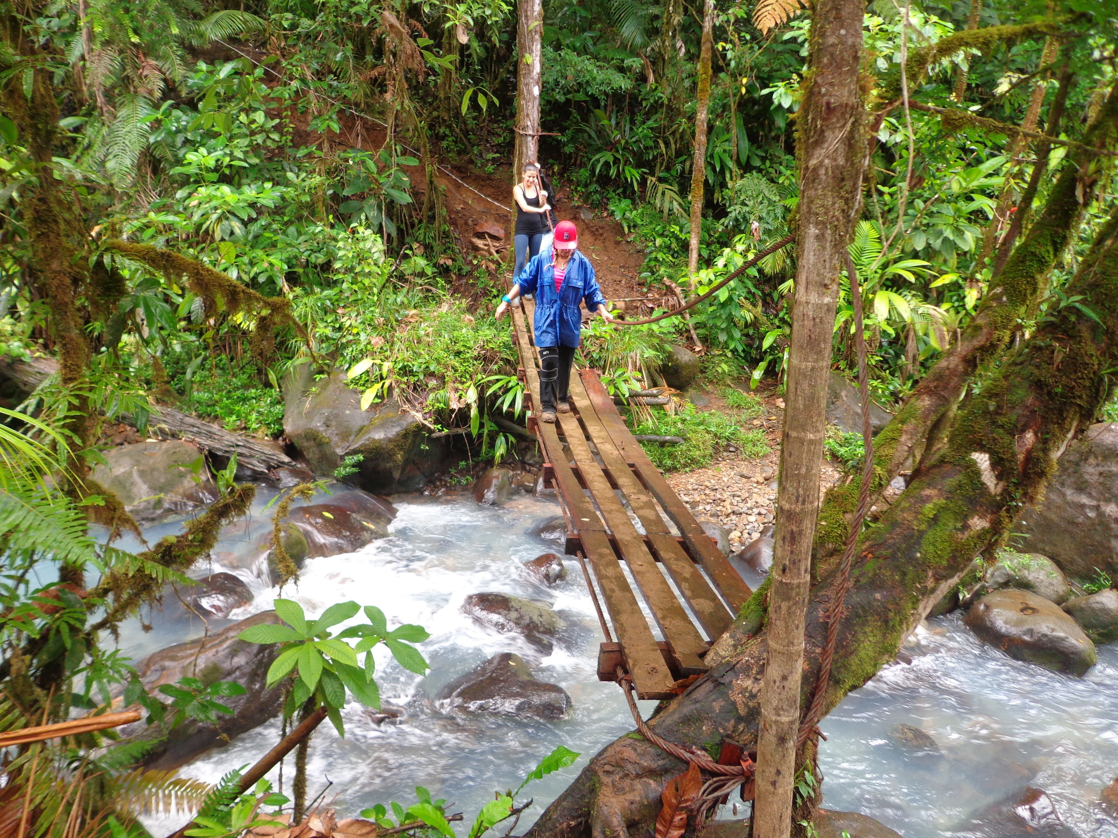 A wooden bridge over a flowing river in a dense forest.