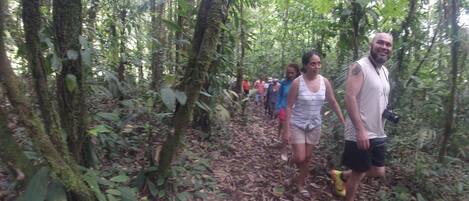 Um grupo de pessoas caminhando por uma trilha na floresta.