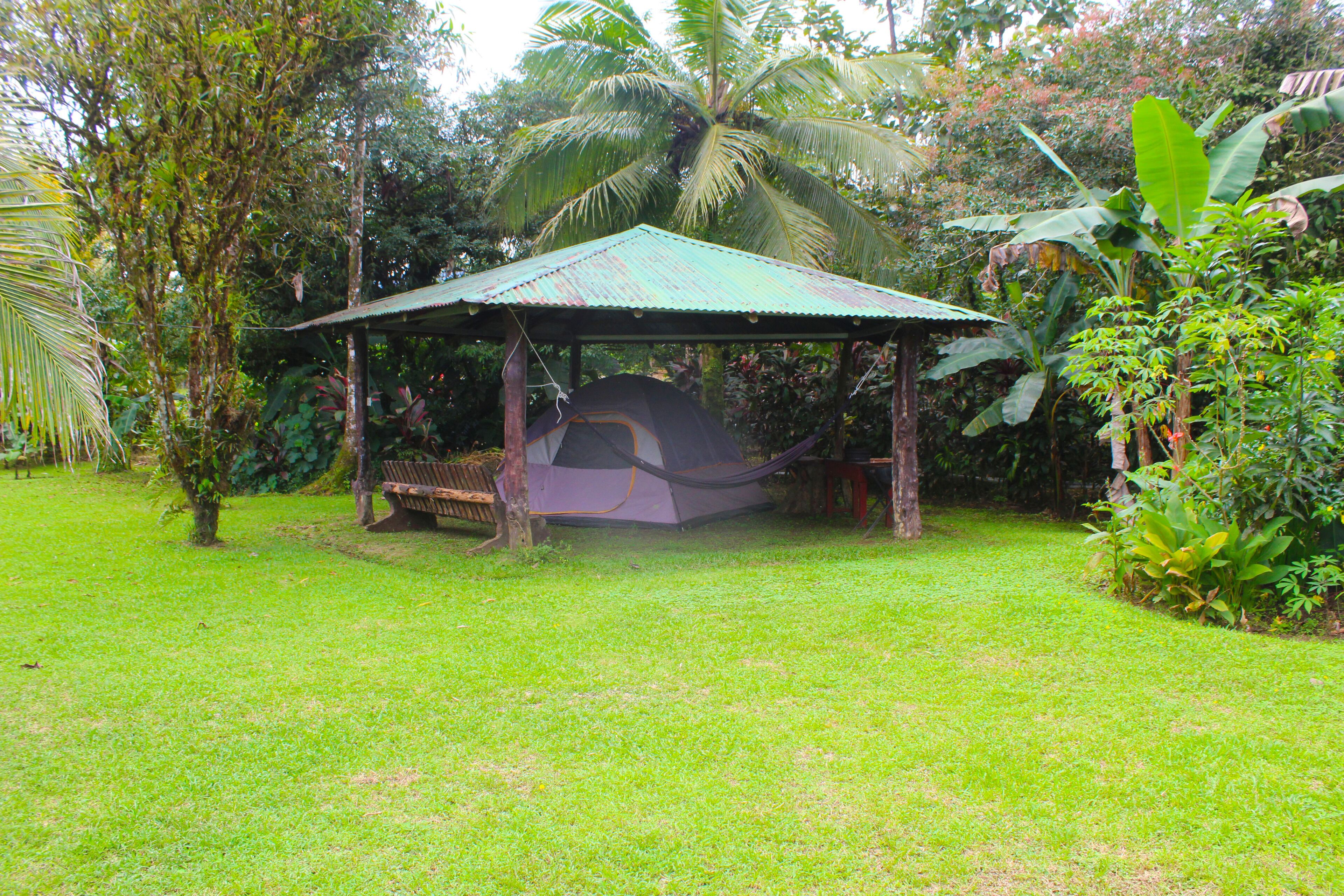 A covered outdoor seating area with a hammock, surrounded by lush greenery and a palm tree.
