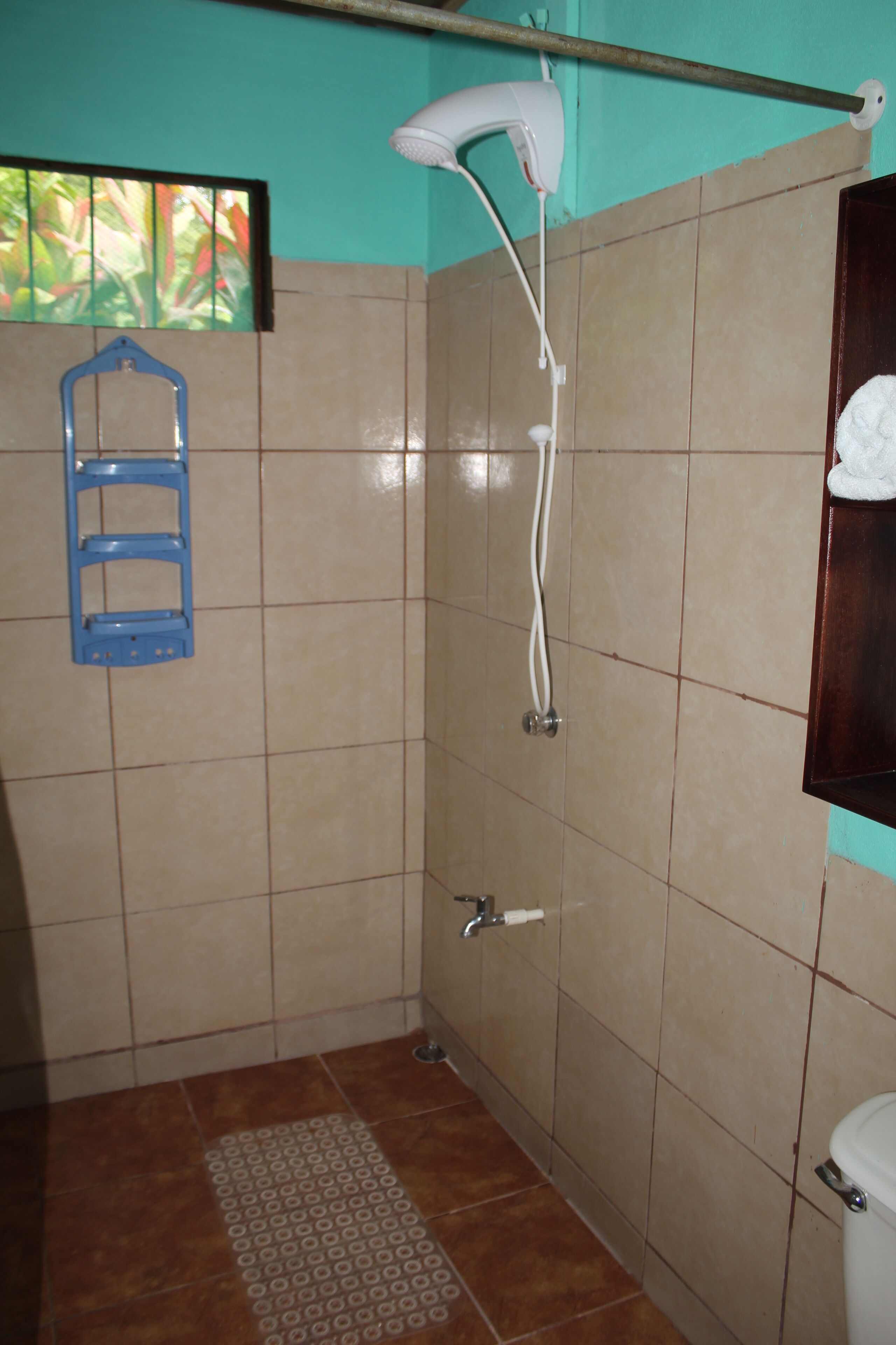 A bathroom with a shower, a blue towel rack, and a toilet.