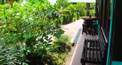 Posada Río Celeste La Amistad