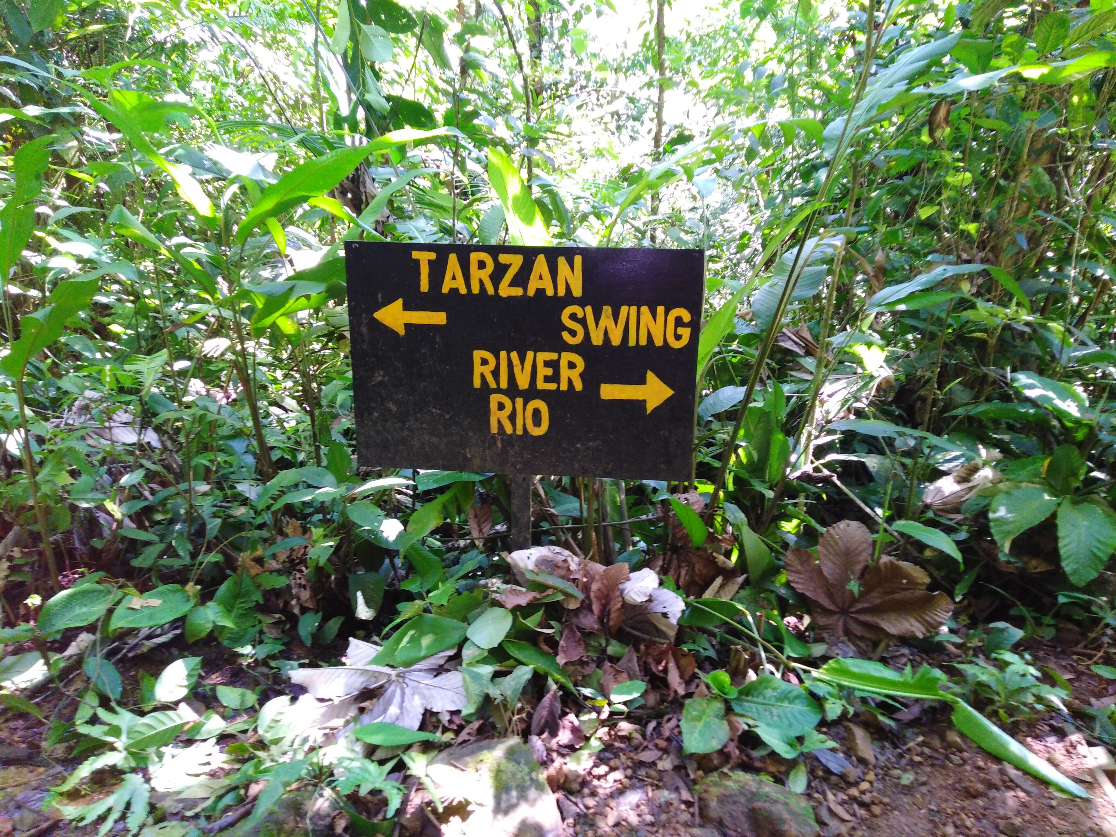 Ein Wegweiser in bewaldeter Landschaft zeigt mit Pfeilen den Weg zum Tarzan Swing und zum Fluss Rio.