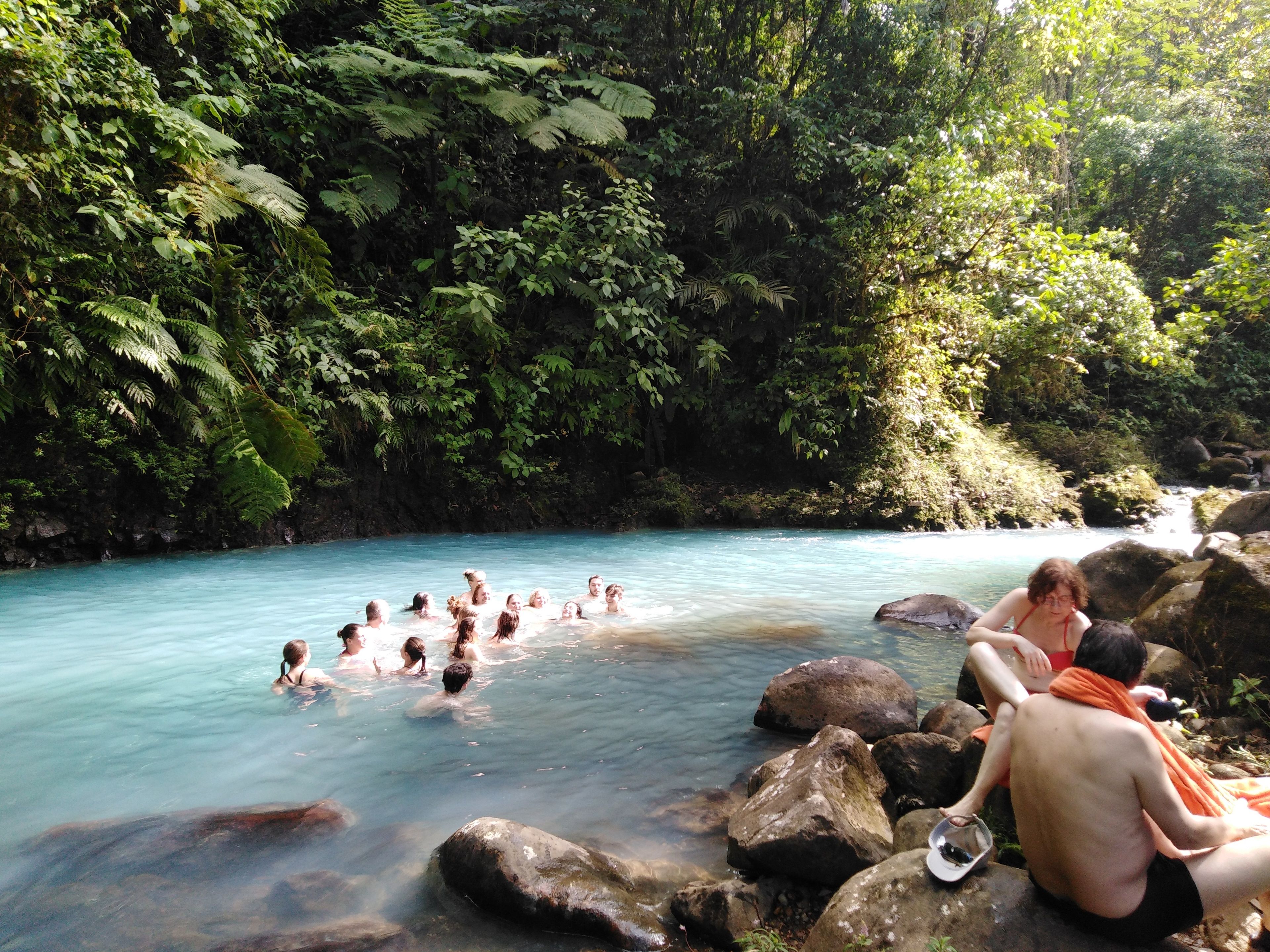 A natural hot spring surrounded by lush greenery and rocks.