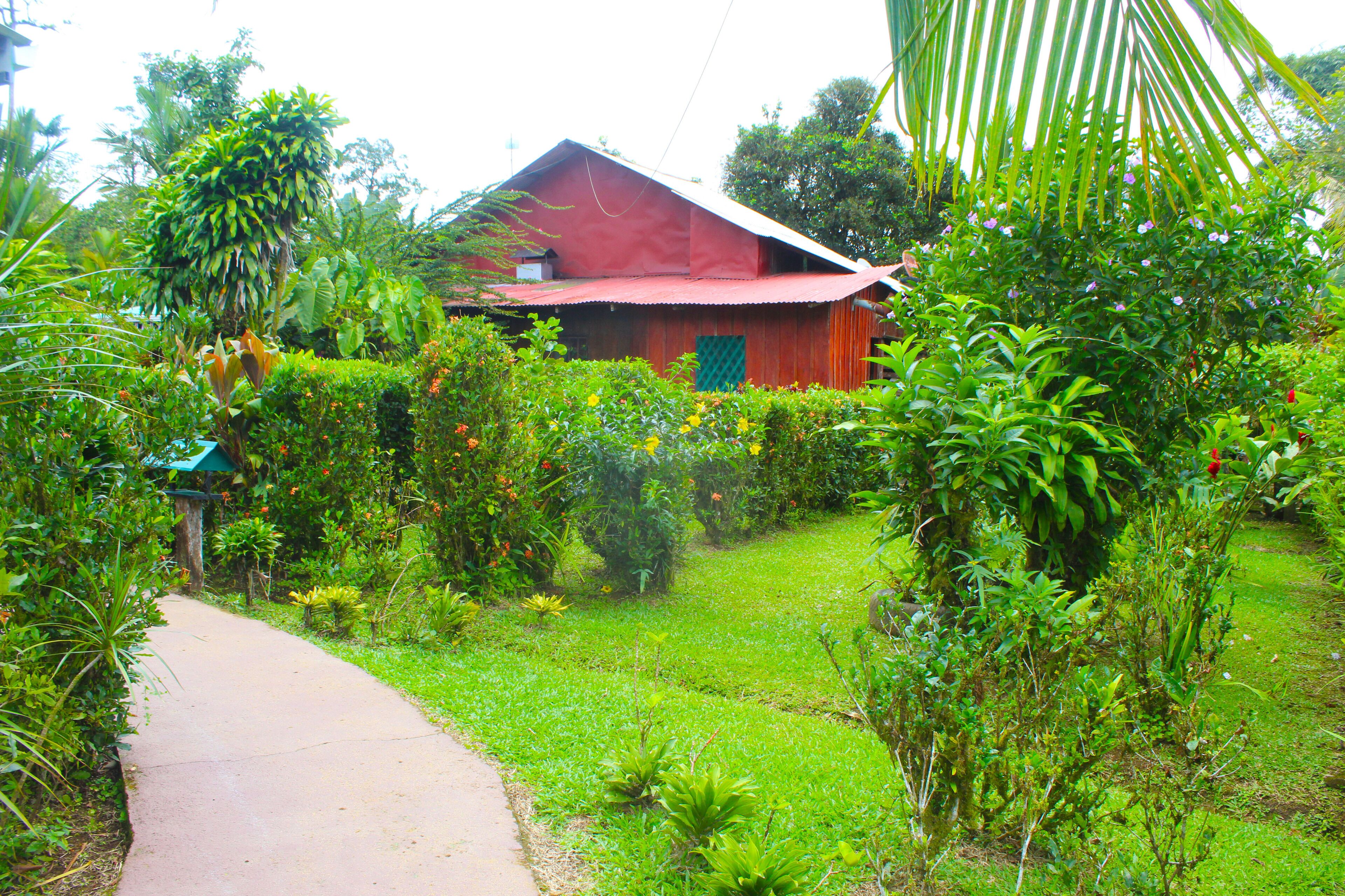 Una casa roja rodeada de abundante vegetación y un sendero de hormigón.