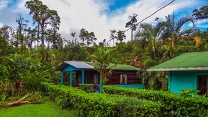 Una cabana petita i rústica envoltada de verdor abundant i un jardí ben cuidat.