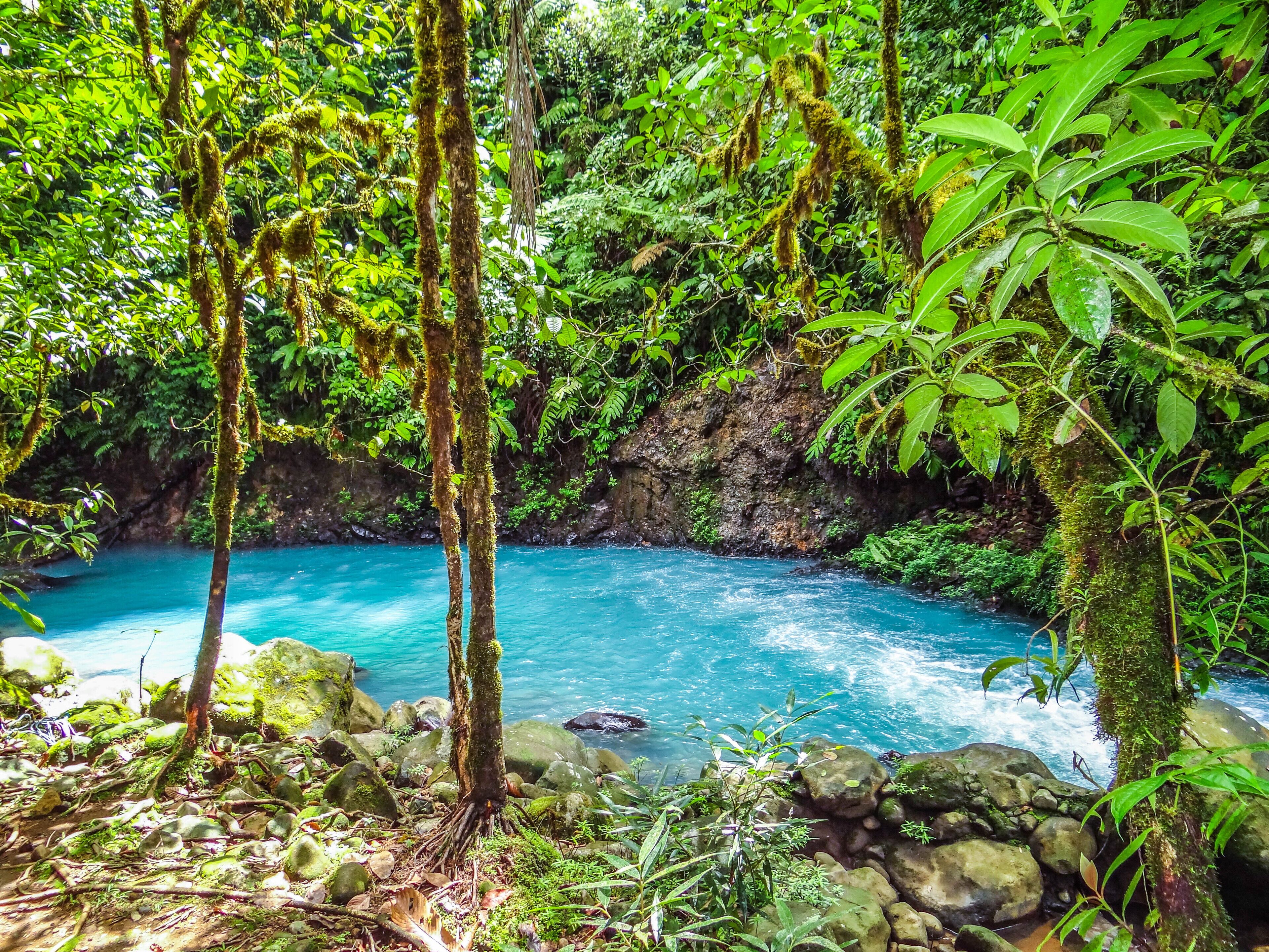 A natural landscape with a clear blue stream surrounded by lush greenery and rocks.