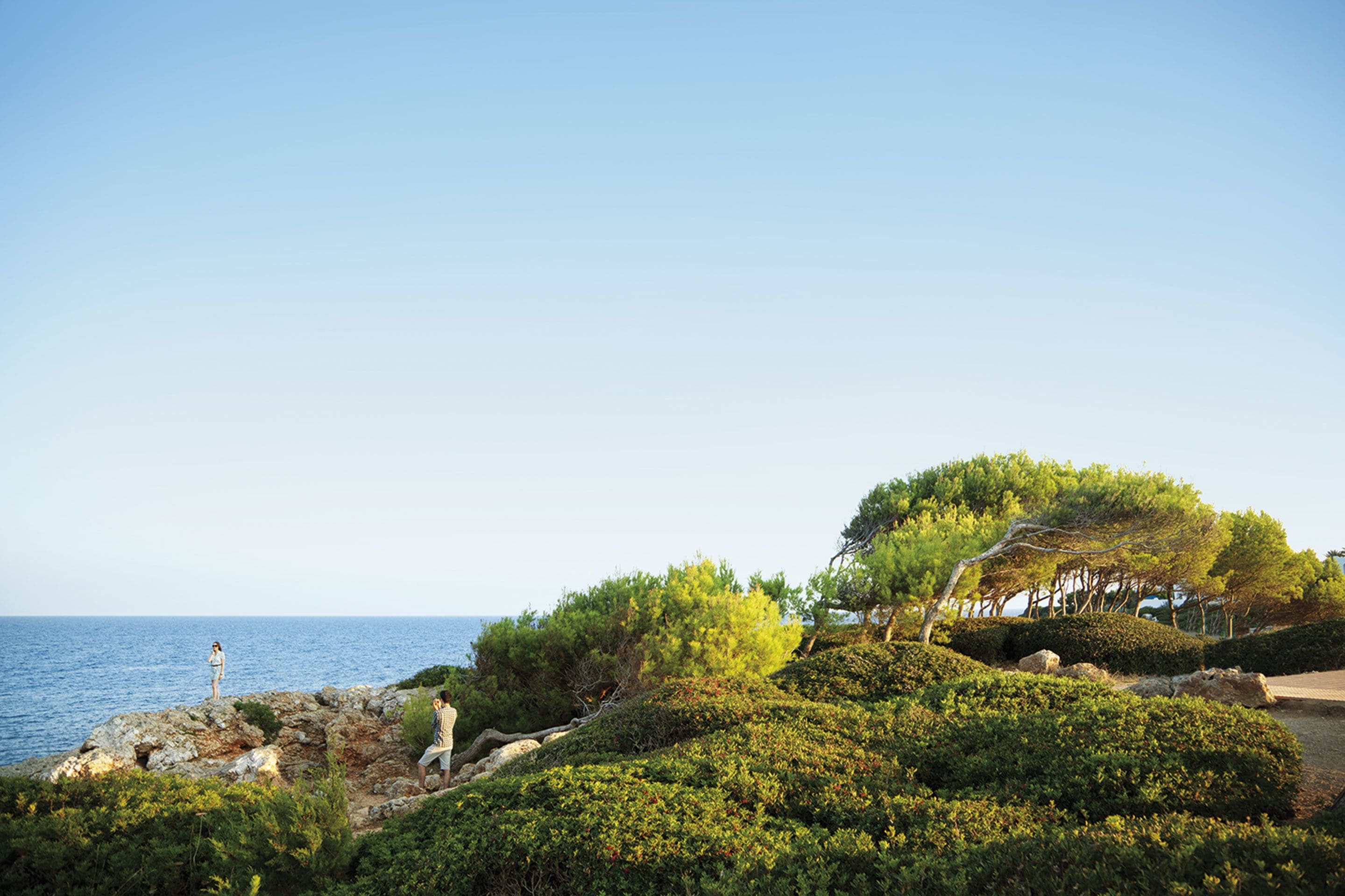 A coastal landscape with rocky terrain, dense greenery, and a clear view of the sea.