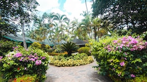 A stone pathway leading through a lush garden with various plants and trees. - Las Palmas Residence (Las Terrenas)